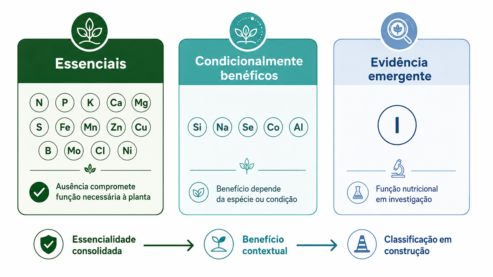 Figura 2. A classificação depende da força da evidência e da abrangência da resposta. Elementos essenciais sustentam processos indispensáveis, enquanto elementos condicionalmente benéficos melhoram o desempenho apenas em determinadas espécies ou ambientes.